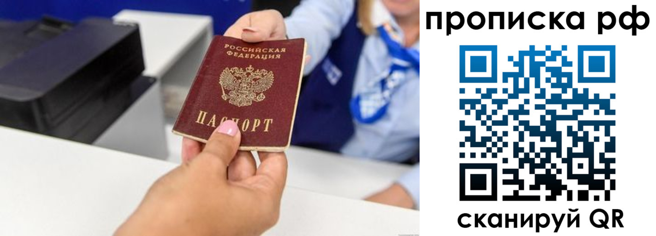 купить прописку в Владимирской области